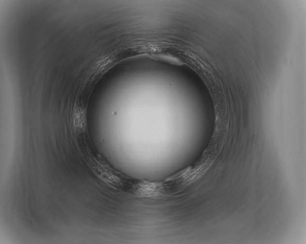 X0000113200096200909101120