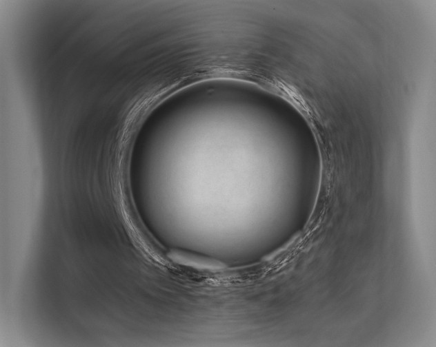 X0000113200097200909101120