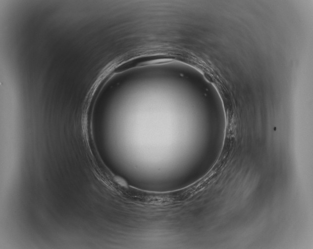 X0000113200099200909101120