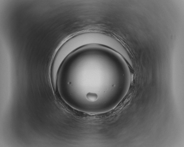 X0000113200100200909101120