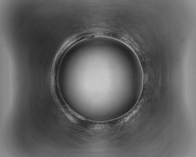 X0000113200101200909101120