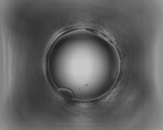 X0000113200103200909101120