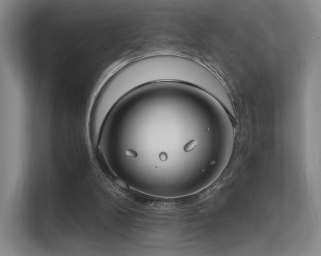 X0000113200104200909101120