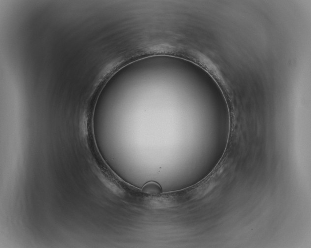 X0000113200106200909101120