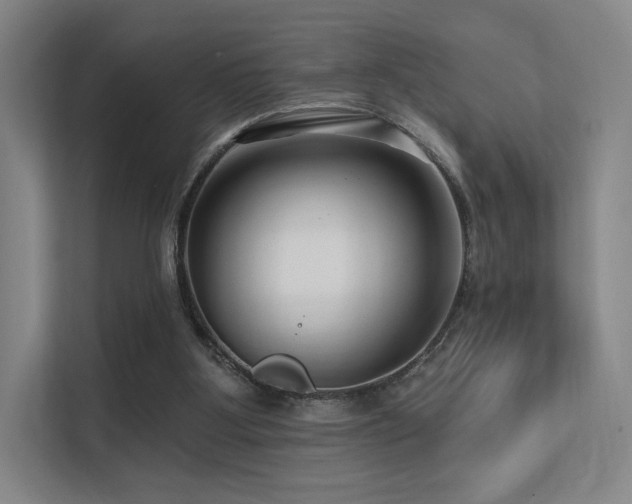 X0000113200107200909101120