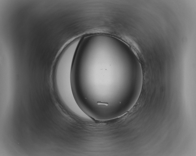 X0000113200108200909101120