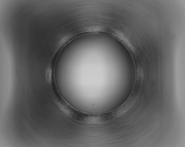 X0000113200110200909101120