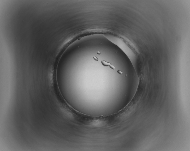 X0000113200111200909101120