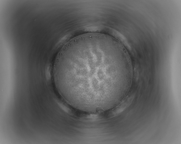 X0000113200114200909101120