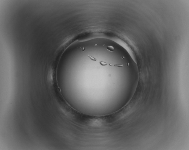 X0000113200115200909101120