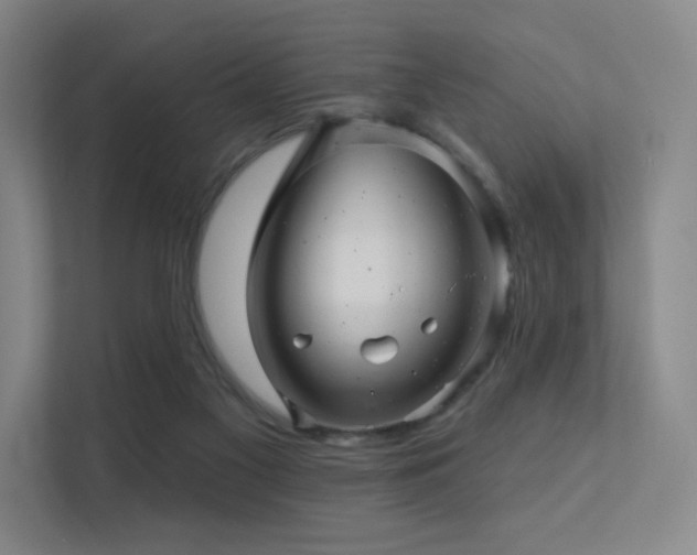 X0000113200117200909101120