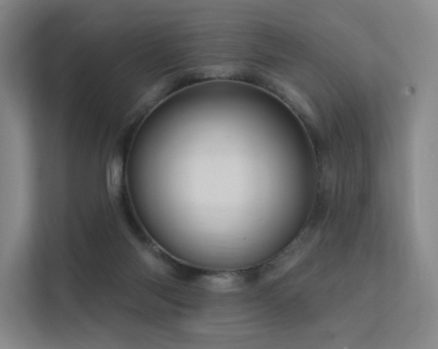 X0000113200118200909101120