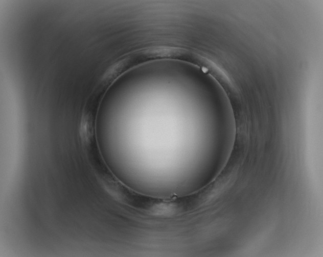 X0000113200119200909101120