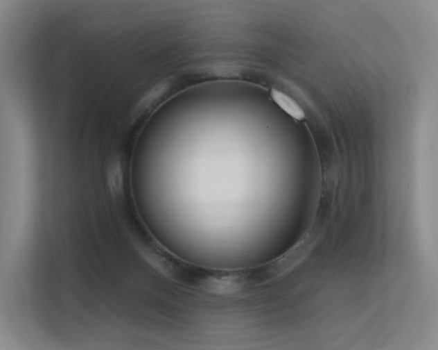 X0000113200120200909101119