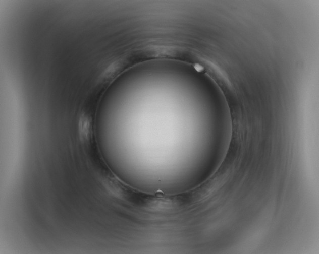 X0000113200123200909101119