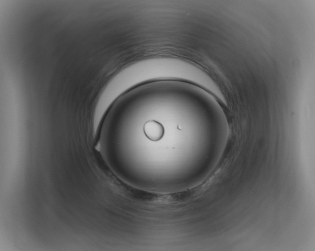 X0000113200124200909101119