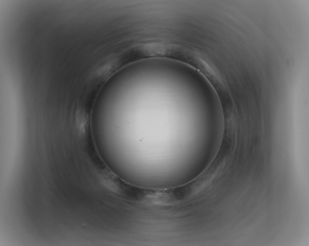 X0000113200125200909101119