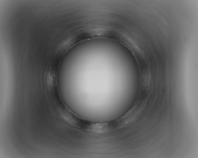 X0000113200126200909101119