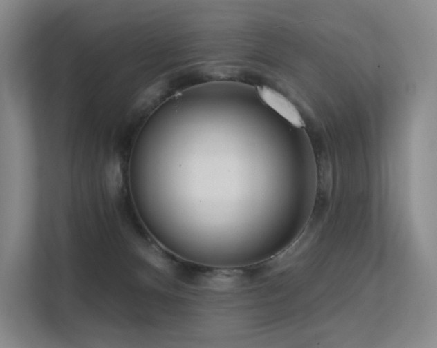 X0000113200128200909101119