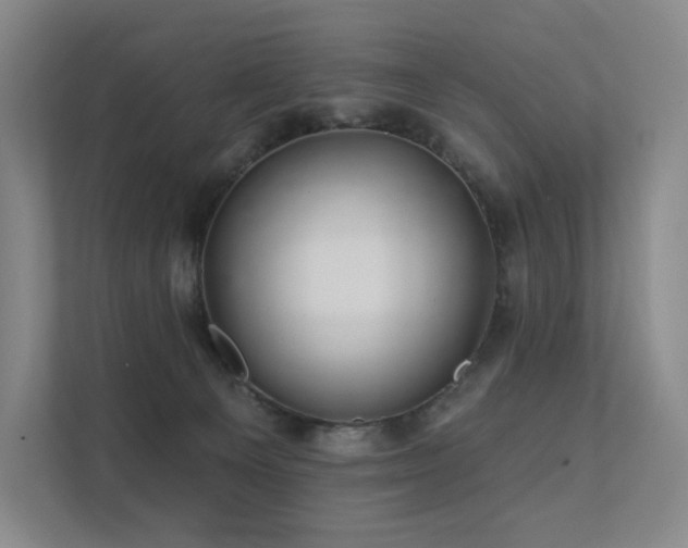 X0000113200129200909101119