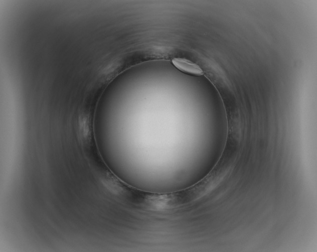 X0000113200131200909101119