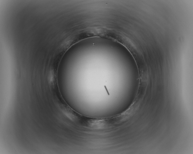 X0000113200132200909101119