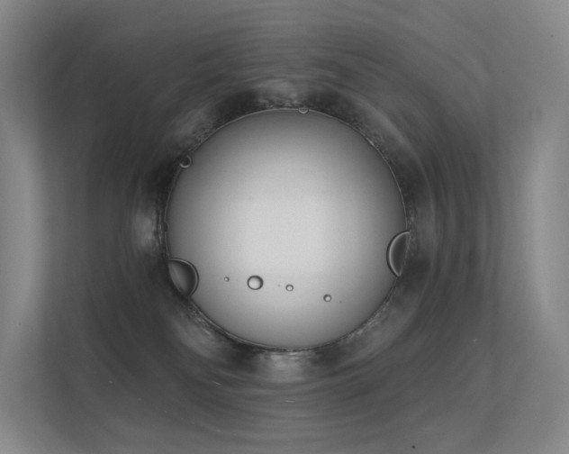 X0000113200134200909101119