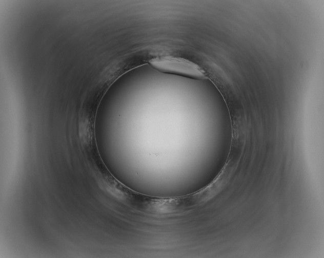 X0000113200136200909101119