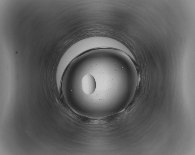 X0000113200137200909101119