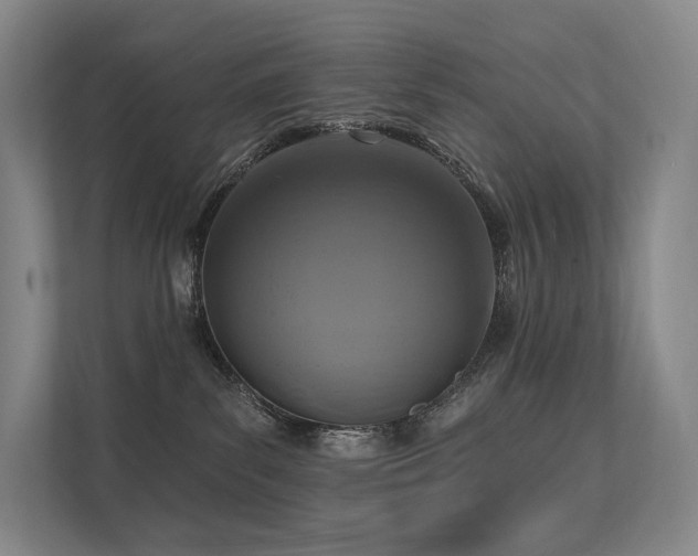 X0000113200139200909101119