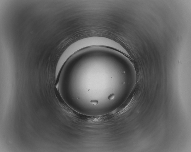 X0000113200140200909101119