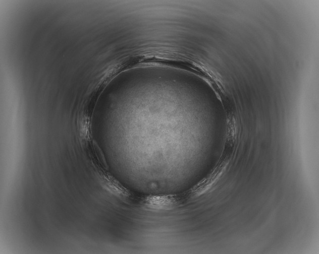 X0000113200141200909101119