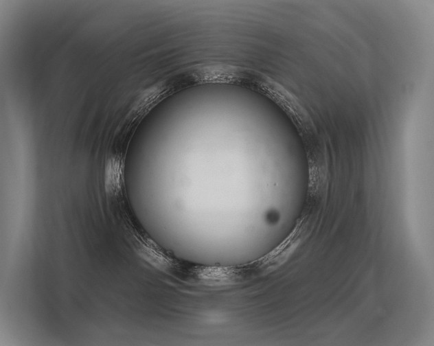 X0000113200142200909101119