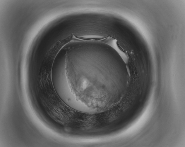 X0000113200143200909101119