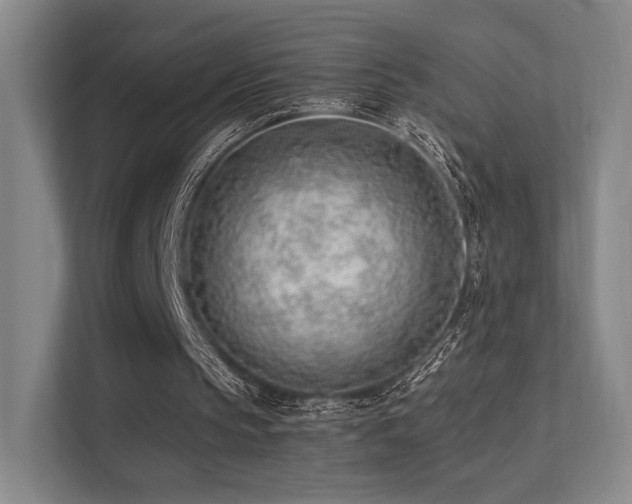 X0000113200145200909101119