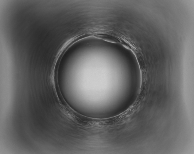 X0000113200147200909101119