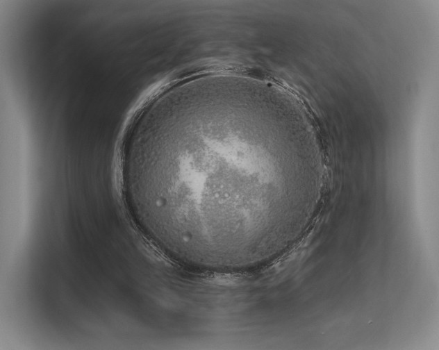 X0000113200149200909101119