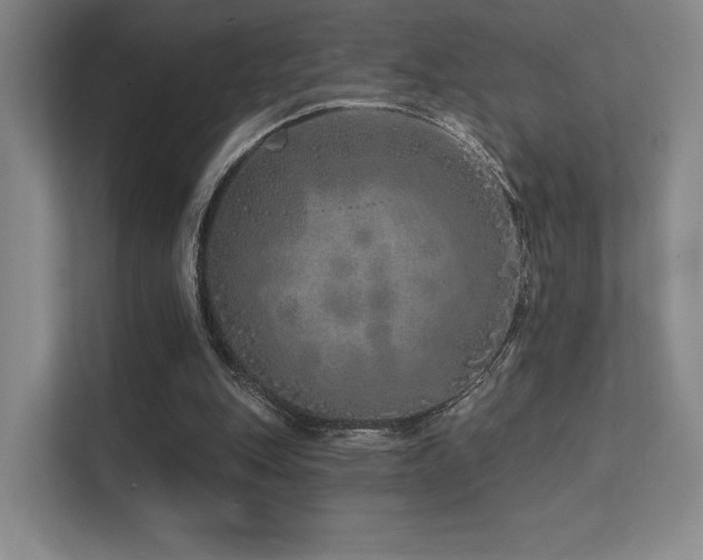 X0000113200151200909101119