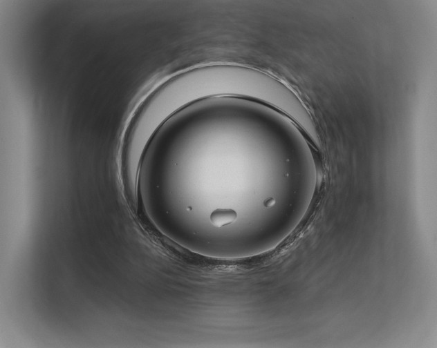 X0000113200152200909101119