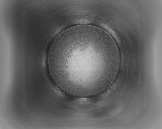 X0000113200153200909101119