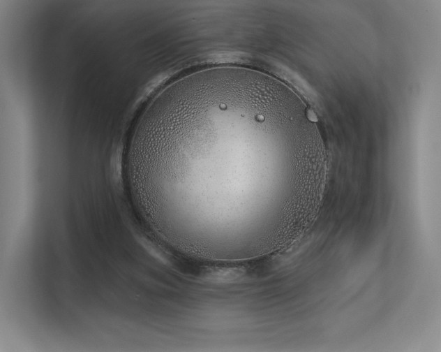 X0000113200155200909101119