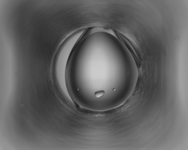 X0000113200156200909101119