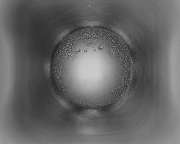 X0000113200159200909101119