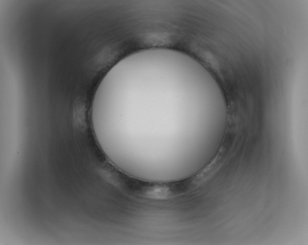 X0000113200162200909101119