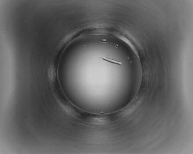 X0000113200164200909101119