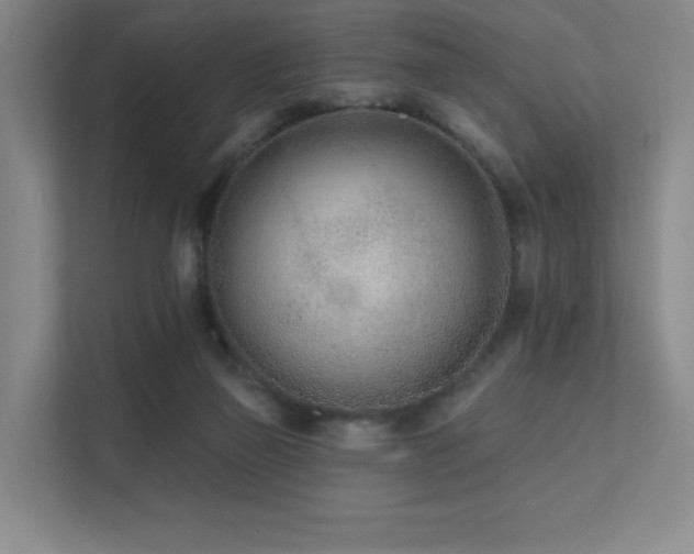 X0000113200165200909101119