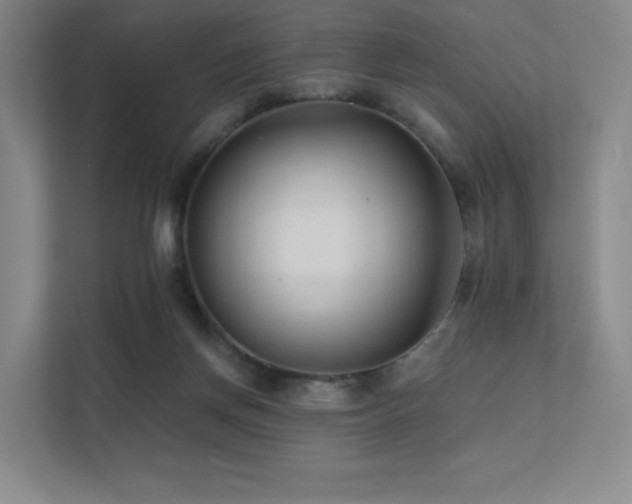 X0000113200166200909101119