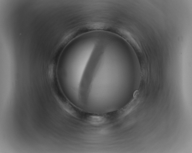 X0000113200167200909101119