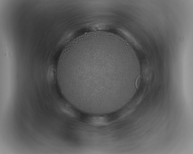 X0000113200169200909101119