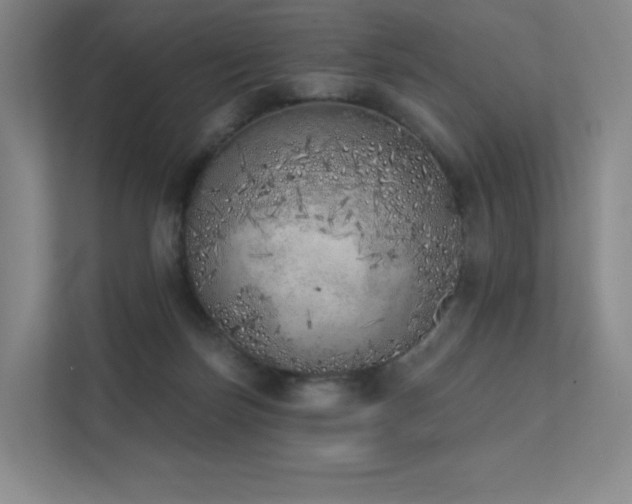 X0000113200171200909101119